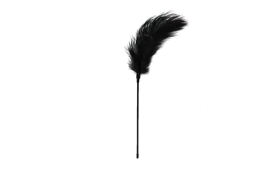 Easy Toys Feather Tickler, Black
