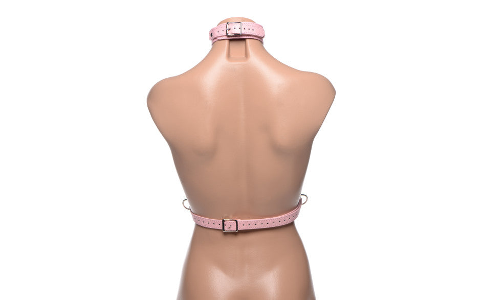 Frisky Miss Behaved Chest Harness, Pink