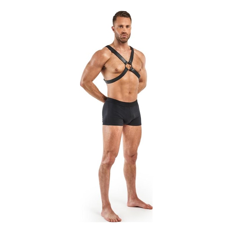 Bedroom Fantasies Lionel Bondage Harness, Black