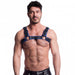 A man wearing a black and blue vegan bulldog harness with powder-coated rolling buckles and rivets.