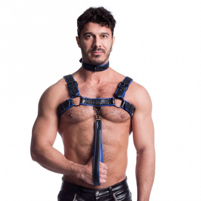 Sport Fucker Vegan Bulldog Harness, Black and Blue, S/M