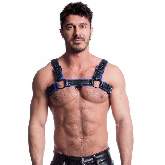 A man wearing a black and blue vegan bulldog harness with powder-coated rolling buckles and rivets.