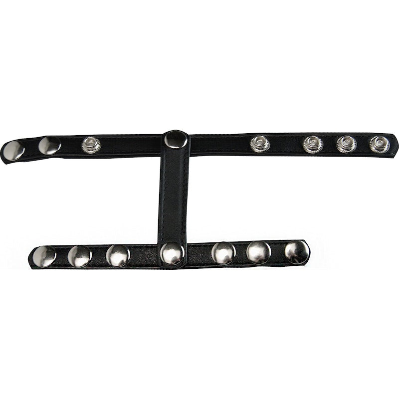 Strict Snap-On Cock And Ball Harness, Black