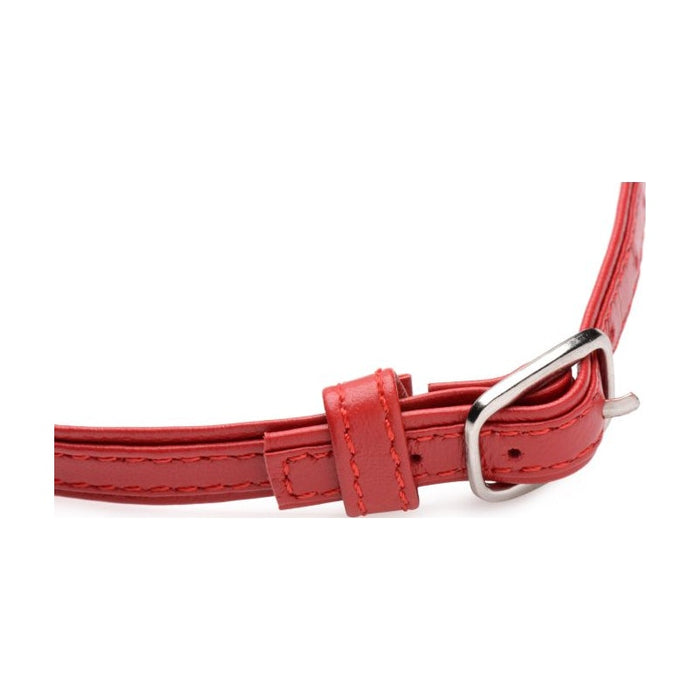 Fiery Pet Leather Choker w/ Silver Ring Red