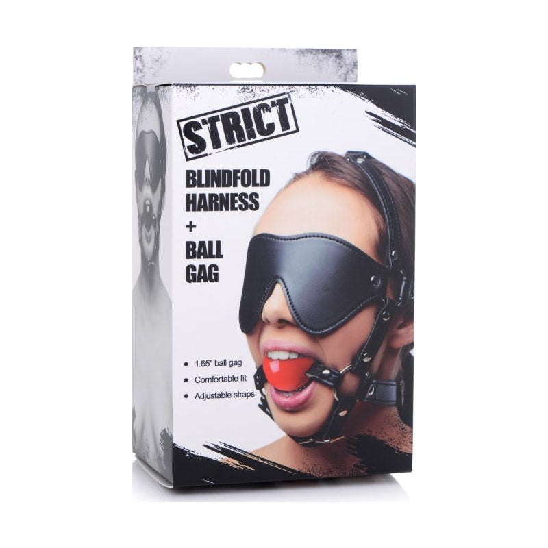 Strict Blindfold Harness with Ball Gag, Black