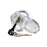 Master Series Clear Captor Chastity Cage, Small