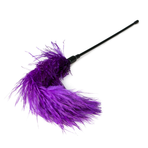 Easy Toys Feather Tickler Purple