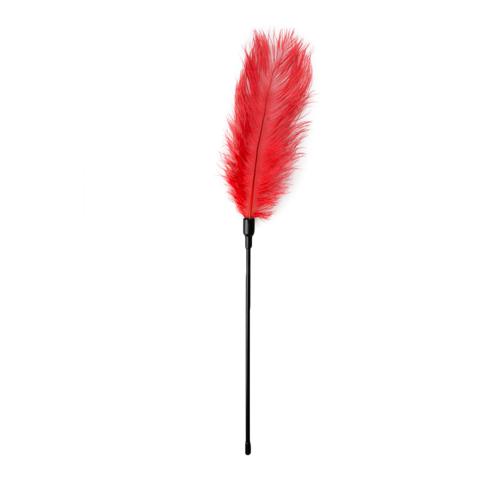 Easy Toys Feather Tickler Red
